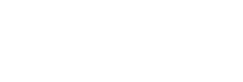 TeamEng Logo